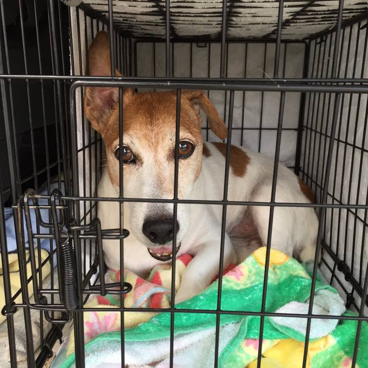 883fb9a5 16c7 4212 ae93 aba6a417c395