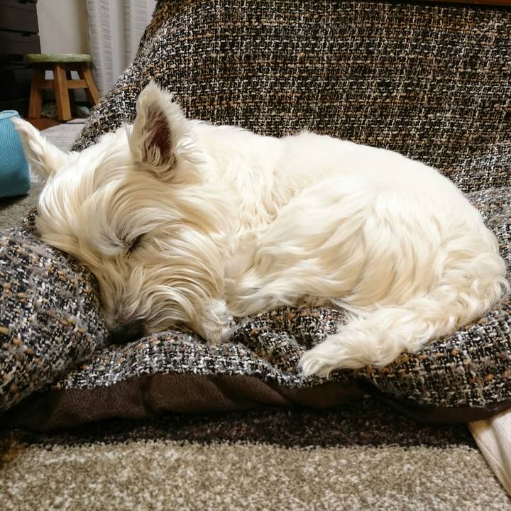 8841033f aaac 4714 8813 b3acfd79acdd