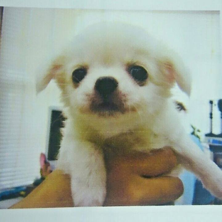 8841d1ea 8ef9 4fa3 a78a abd4cf01365e