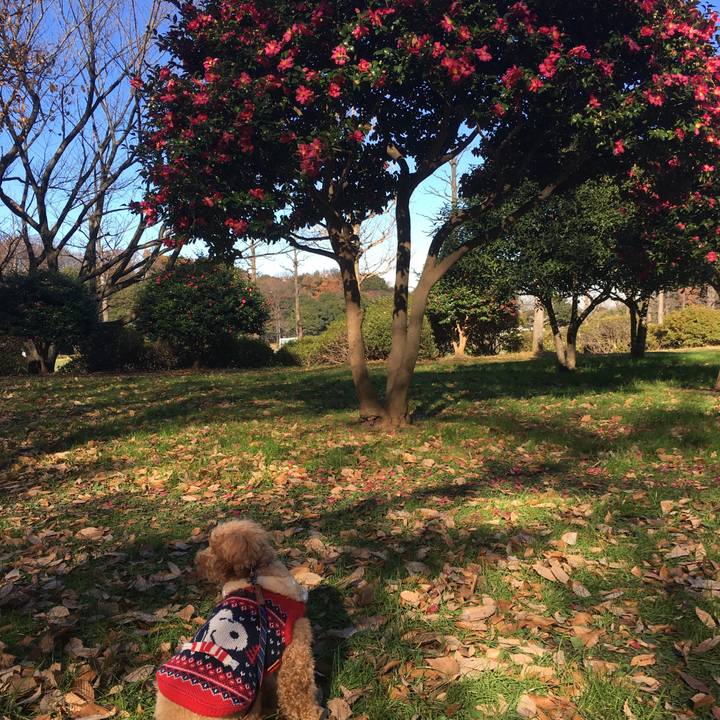 8842d37f b0df 45ad 827e 3f2e8795293d