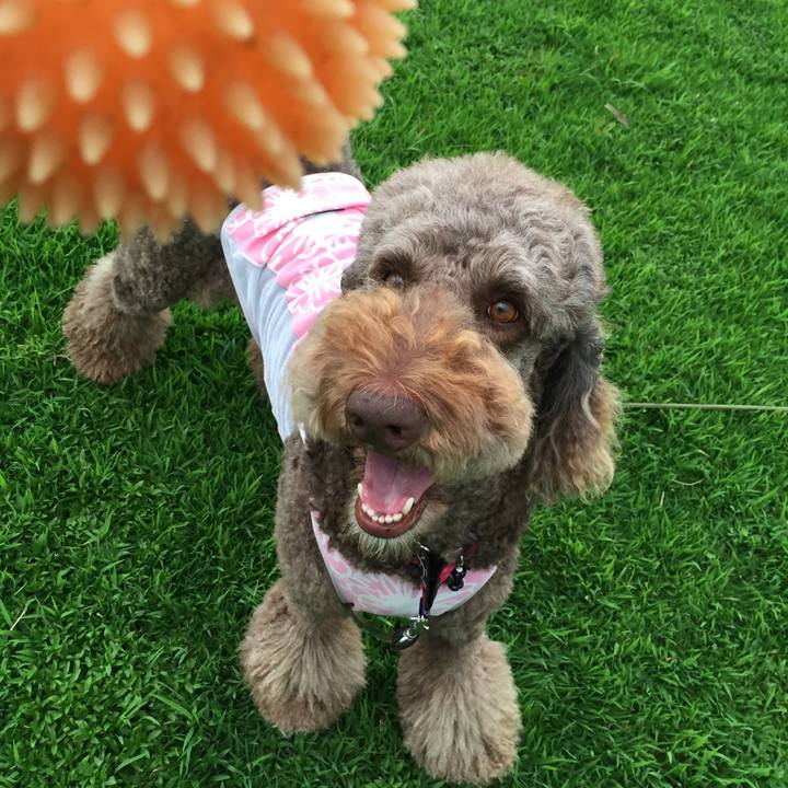 8842de53 96f1 4fe1 935e 165532c6ff13