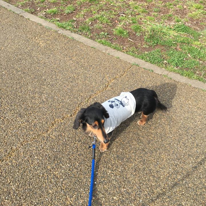 8842f62c 8f15 410a bde0 9e99996bb028