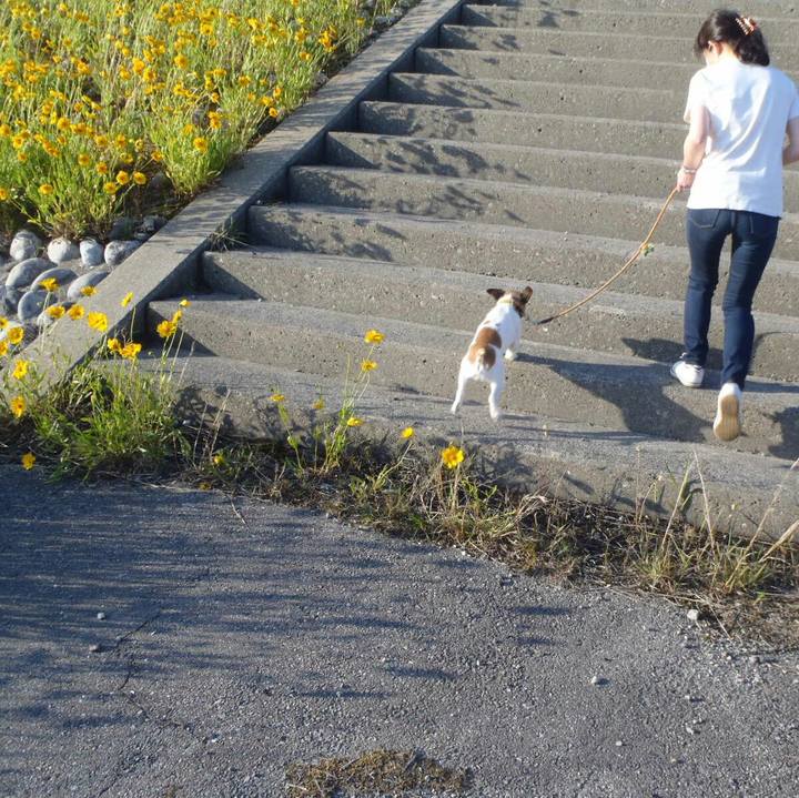 8843e8ae e635 463d b44d 31f93c9a1576