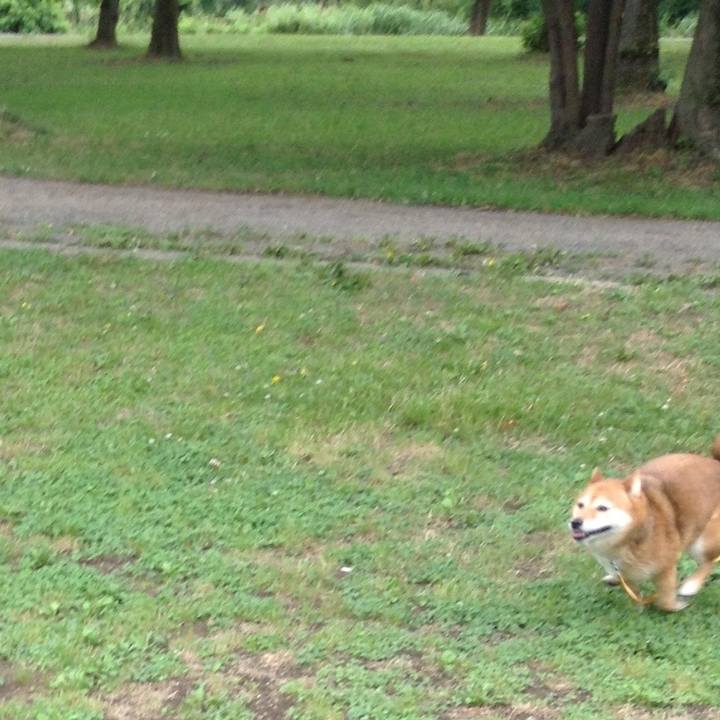 88441767 1aed 415d 8716 f2c9199d5758