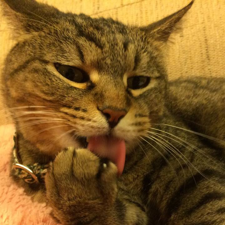 8844298b 98f8 43d6 8fbe ec67fa4774e9