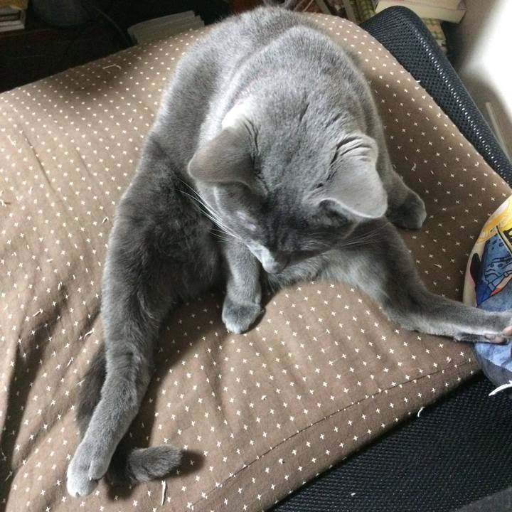 8844bc62 814a 459f a325 9cd0cfb90b87