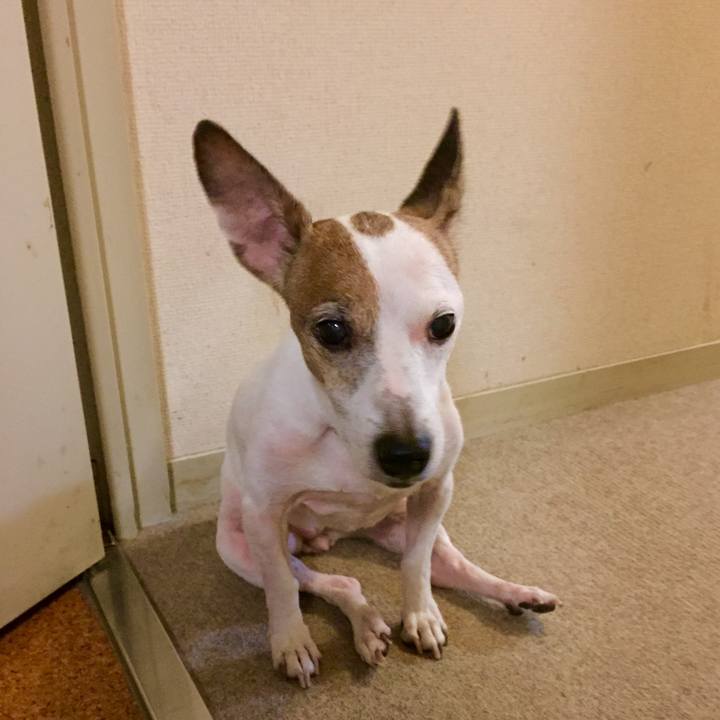 88450903 9035 42da a047 b6fc3e86c59d