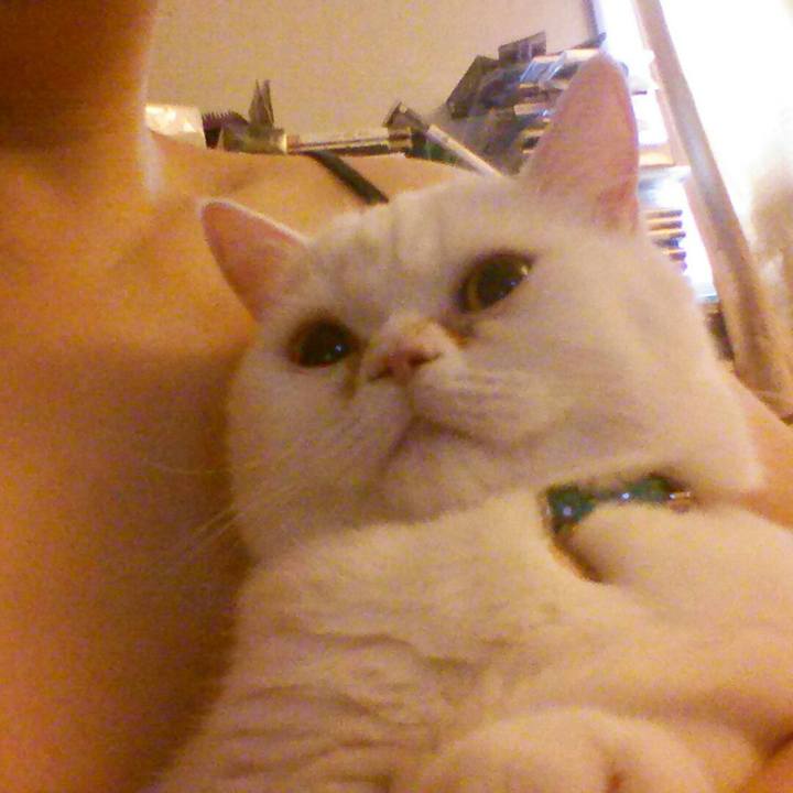 88459466 44ea 4839 bac1 7df0e6633eea