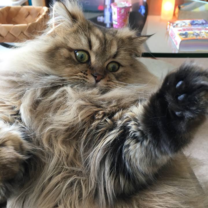 8845b612 bb7f 44b2 8e28 9c64962a8027