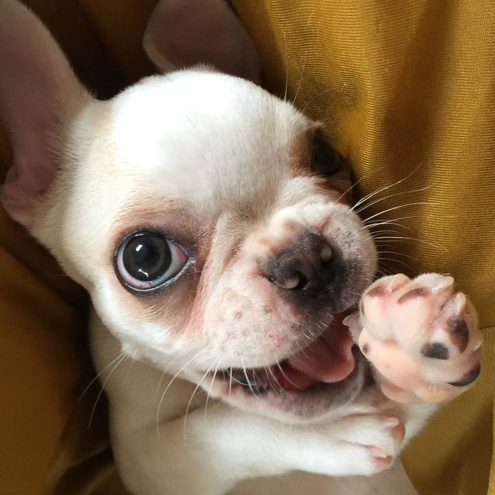 8846e857 f97a 4723 9cc2 c1a964fd1041