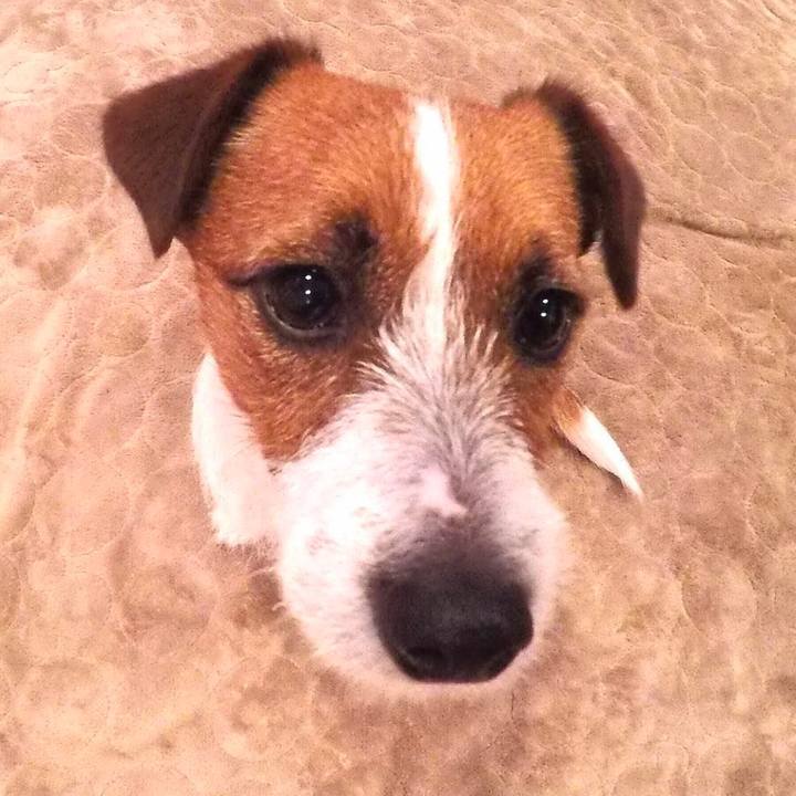 88475f12 f2ca 47f4 bc74 139516ef09b7