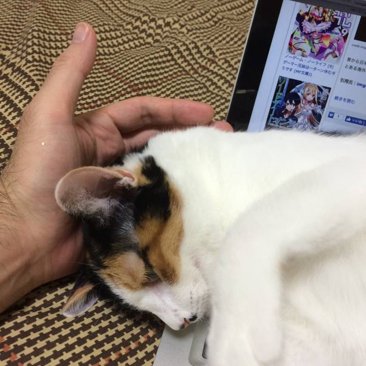 8847e120 6f6f 4a97 8fba 3f94bfa49c40