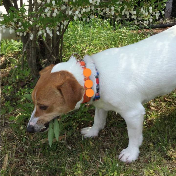 884808cc facd 4746 bc43 c13bcc8880a7