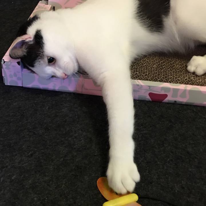 8848fde5 6d6c 4d57 a5b4 926380fe01aa