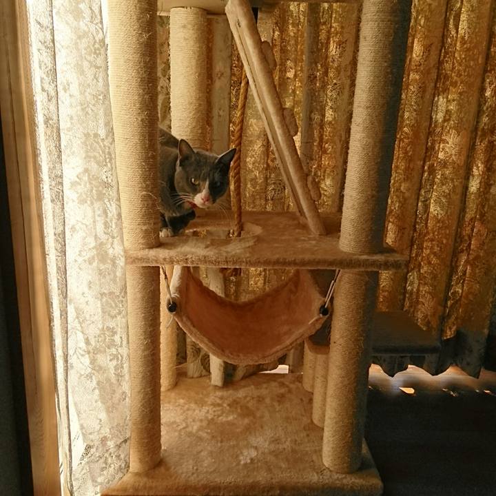 88490246 f3b6 4cba a8d7 73a2617043a9