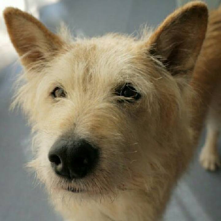 88495572 4e9d 46ad 86b4 39f21309d83b