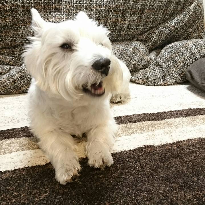 8849570c b1a2 425f a2e1 8eafbfe4dec0