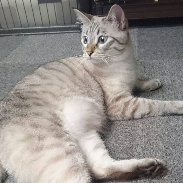 88495a87 75ba 4c86 8a00 e16684fe9621