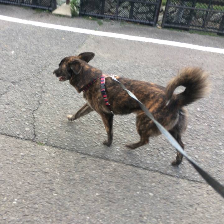 8849a7a0 454b 4d0f bf5b 280c8d7d8ccb