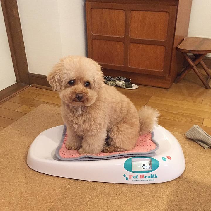 8849cdd0 2ff7 4cb8 9f34 28b9d3284130