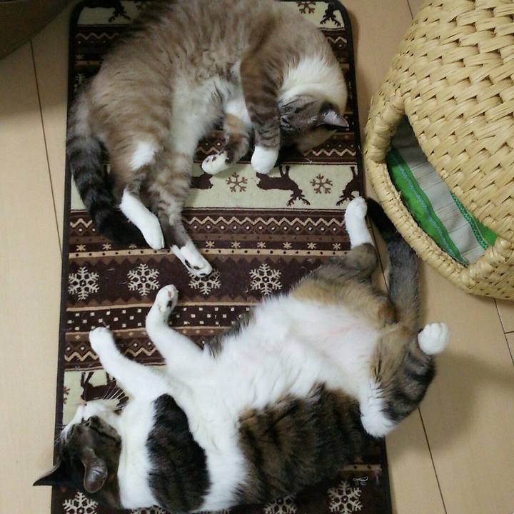 884a2355 518e 4de8 8002 ba6c291836ae