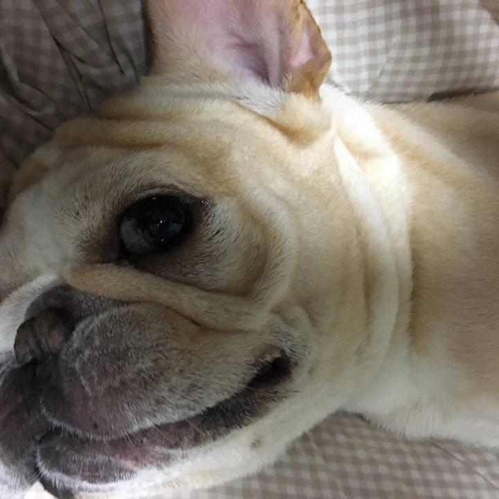 884a5529 2e72 4ab9 b478 dfbb3b9eebda