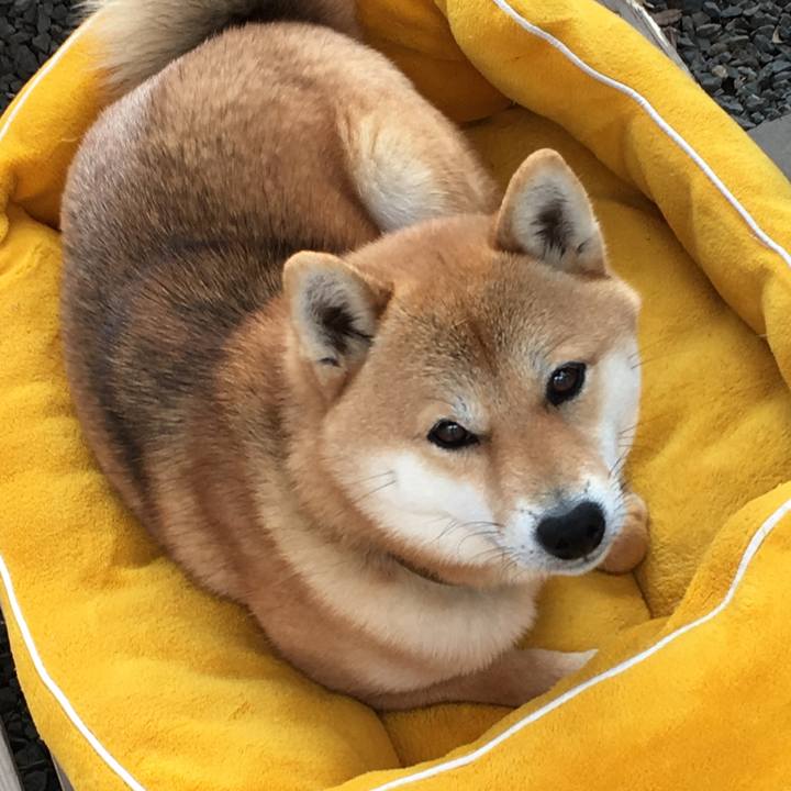 884add3a 3d7d 485b b419 e788abe748bc