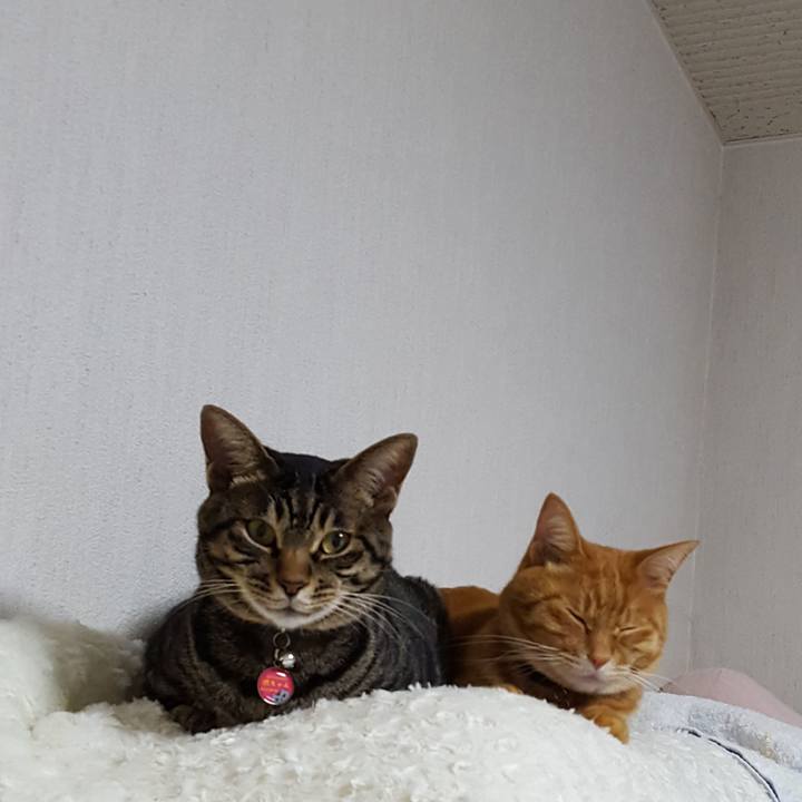 884b3b5c 4e60 495f ad1c a35567ea06d5