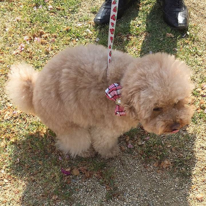 884c12d3 ae29 4f1e a4ce fe5fde082223