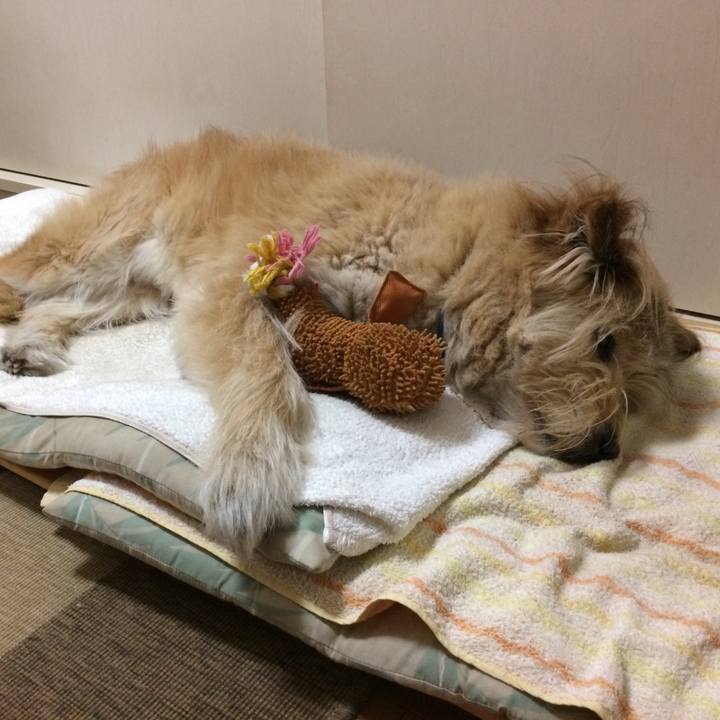 884c1eaf 6fc3 41f0 a505 439108a47df3