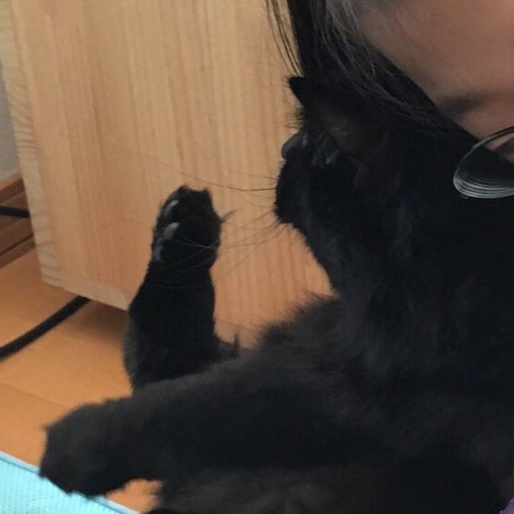 884d7f50 b634 4f65 89e4 683fbb604c89