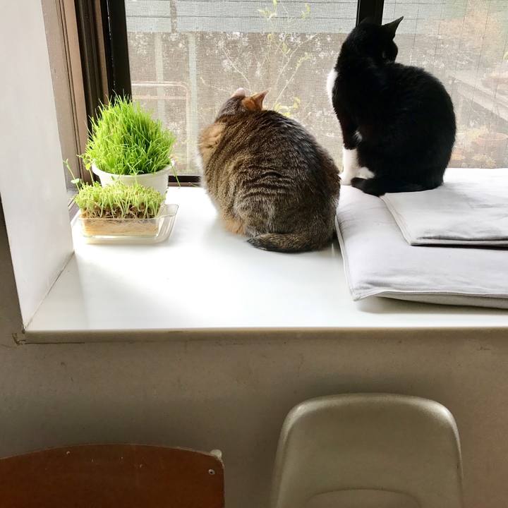 884e3827 b84e 4ce0 b8d6 f650bb3955df