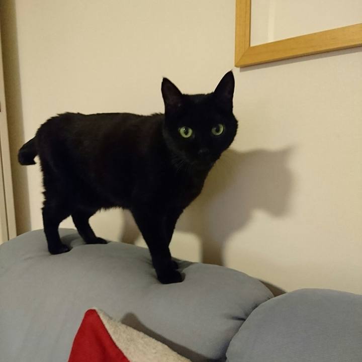 884e3de4 5a67 4f38 b47a e0efe0ef9b6d