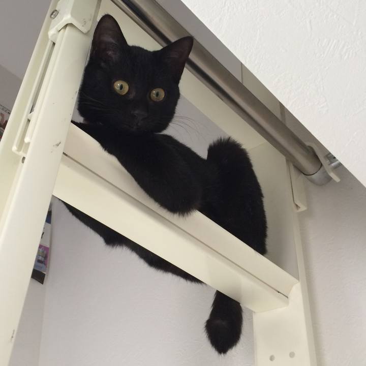 884e3ef4 6f6f 4bb6 a20d 7a73c1516e75