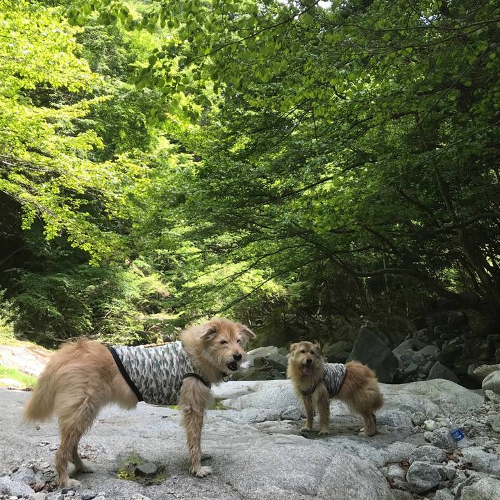 884e4750 8ced 4c86 85fb 1b775d736c4f