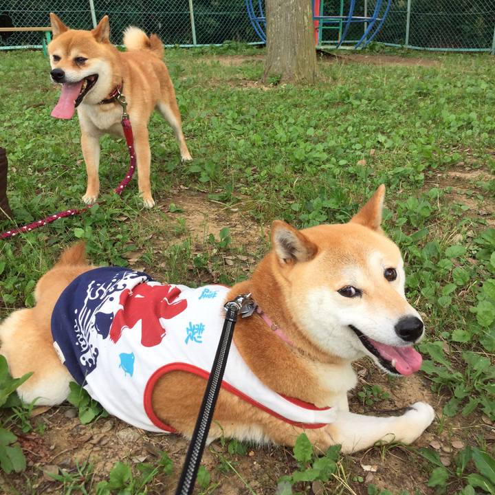 884eb109 8c89 40a1 a7dc 596fd9ca5f49