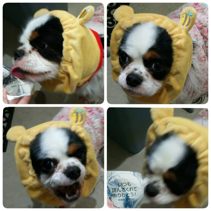 884ed5c8 f142 4c3f 99ab 5088fe5a9ce9