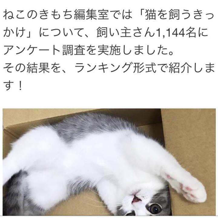 884fb1df 72b9 40d6 b4c9 879db8dcbda3