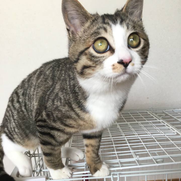 88513e7b 1af4 442f 8bcc 52238fd9d5a9