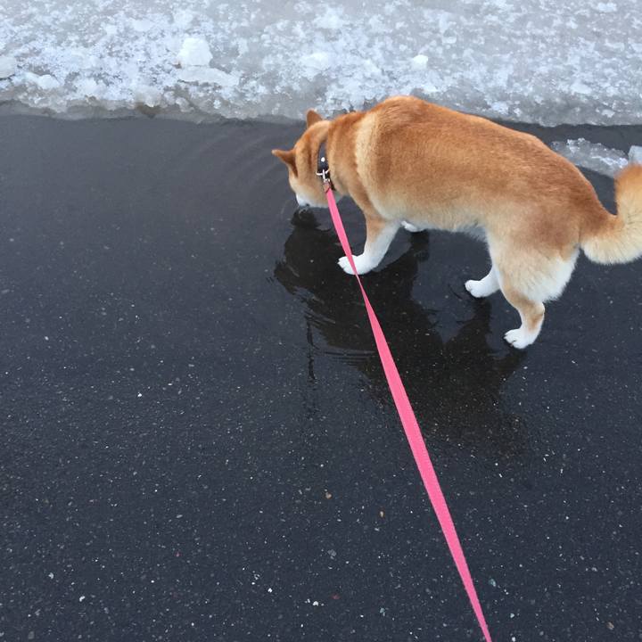 885148f3 e41d 4d45 8efb 737ea89e3e4f