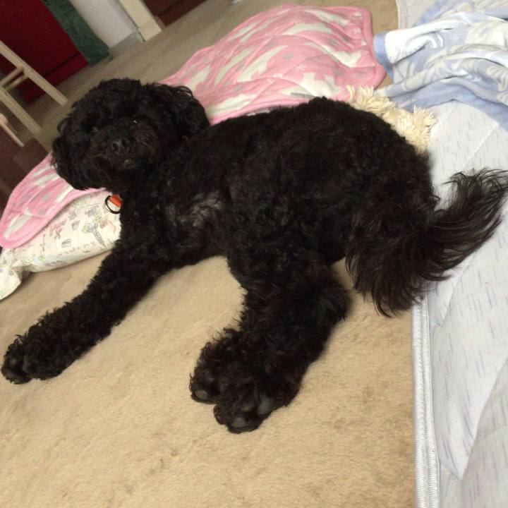 88519cb6 a957 4b3b b1c5 06bfab49999a