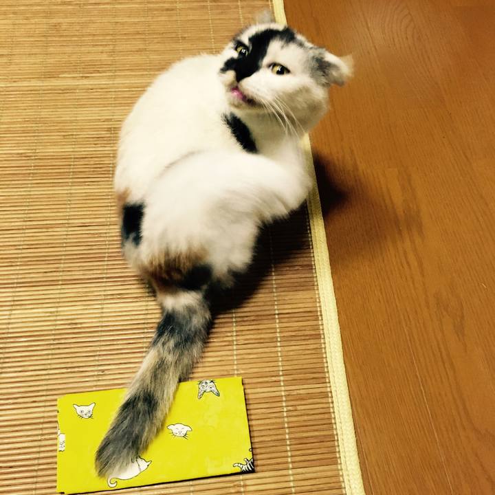 8851b2bc d40c 4c71 bf87 b0eb1437df20