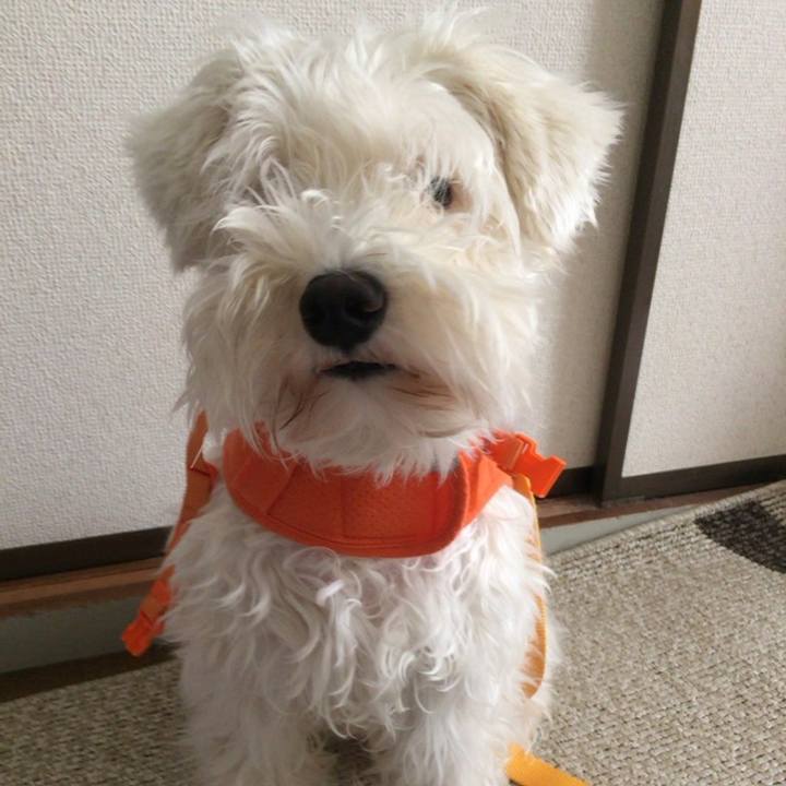 88520efe 48cd 4556 b889 f50ce4119ca4