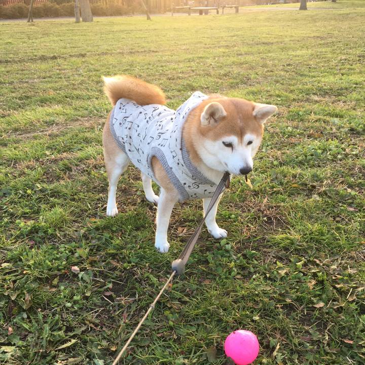 8852491b 1184 494c 9d2a 1d16c4c366d3