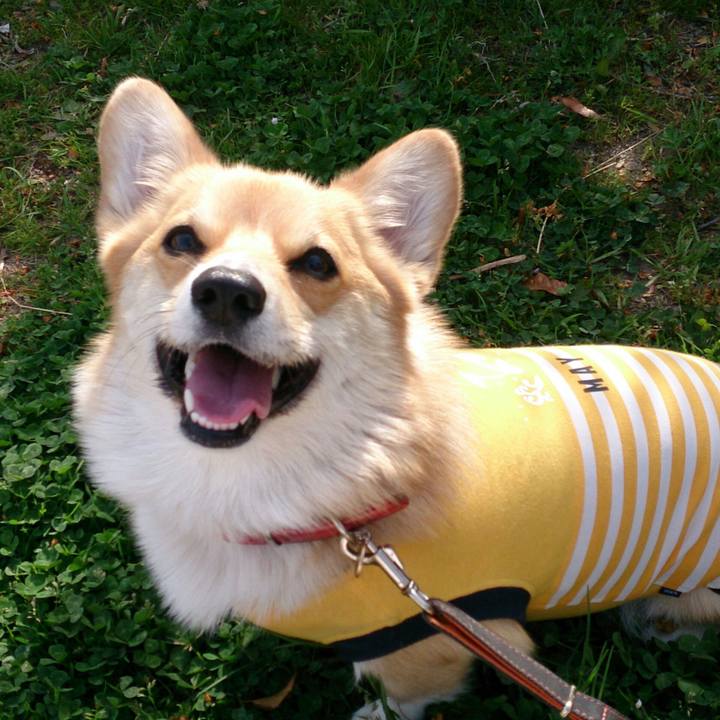 88526a09 fd8e 4ffe 98c0 20955013c052