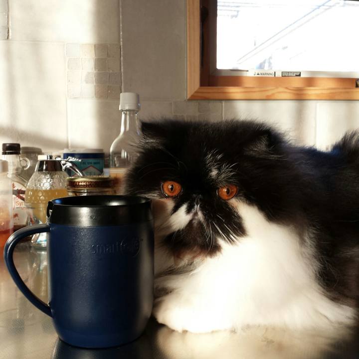 88532889 e70e 441a 847e 88d7735f29e7