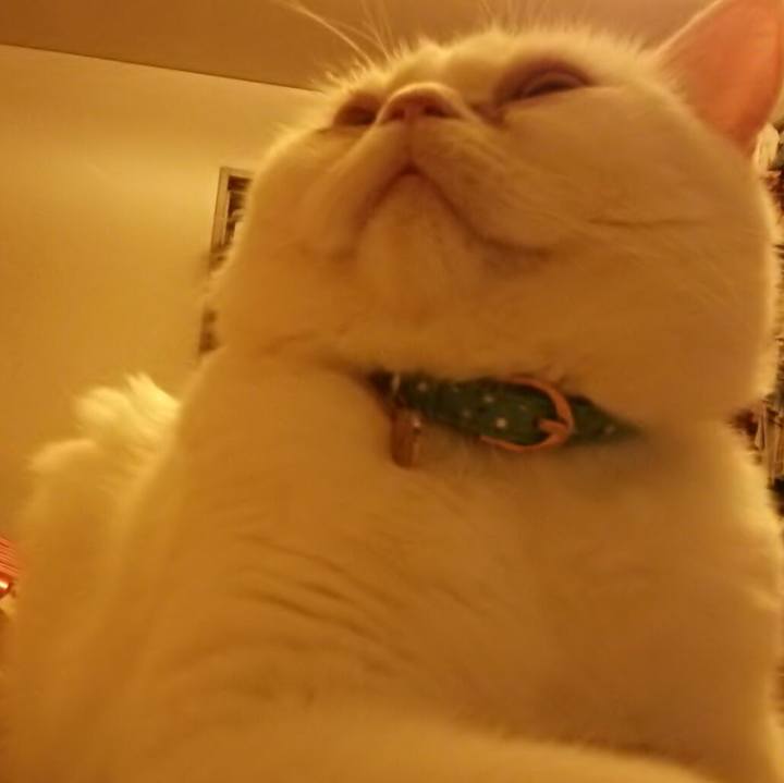 8853a09b 9a5f 4b7b 9369 613e5af52de5