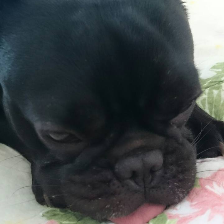 8853b430 14ce 4c6e 8f0b e8a75ac49a03