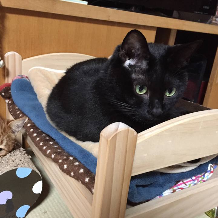 88546cfd 1c35 4093 be23 d3268ea88a29