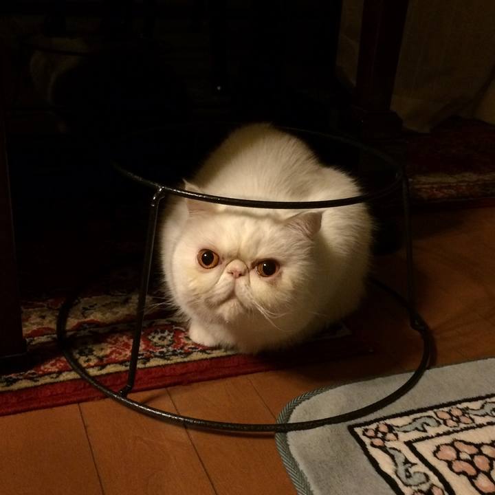 88548023 e8bd 44b6 91fd 9ffe430ee919